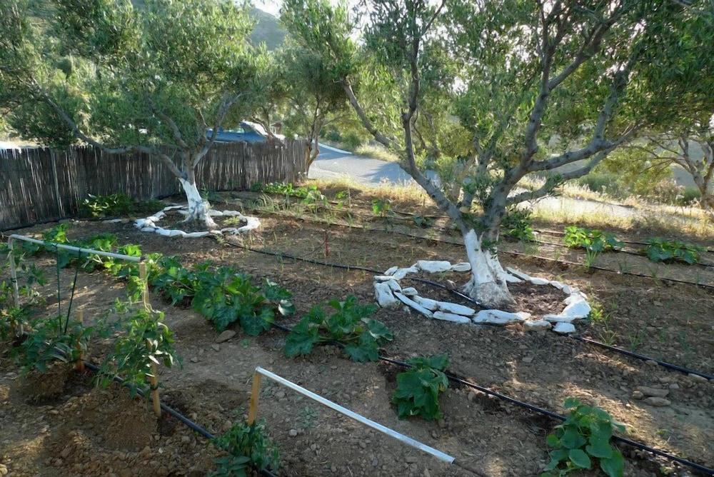 Bellair Village Agia Pelagia  Extérieur photo