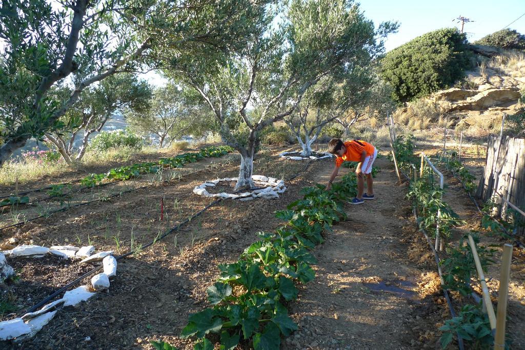 Bellair Village Agia Pelagia  Extérieur photo